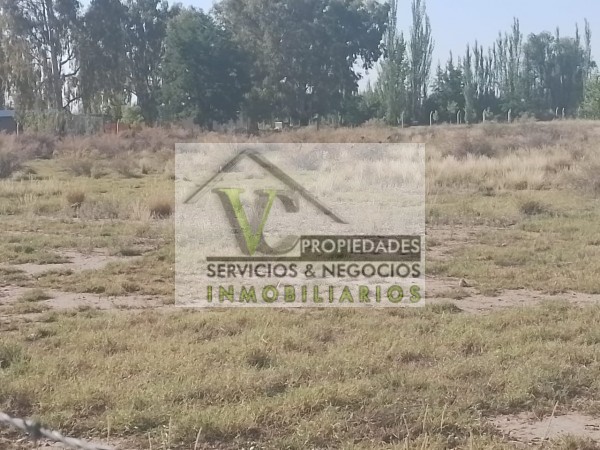 OPORTUNIDAD Vendo lote sobre Las Virgenes, San Rafael  de 1 has 6310 m².  Frente a calle 97.10 mts.  Las Paredes. Mendoza
