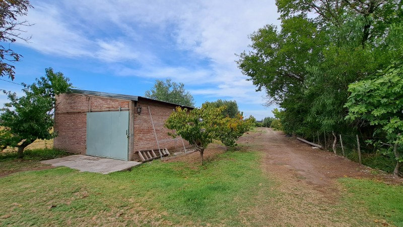 PERMUTA INVERSOR Vendo Complejo de 3 cabanas, 2 has de Ciruela. Rama Caida, San Rafael