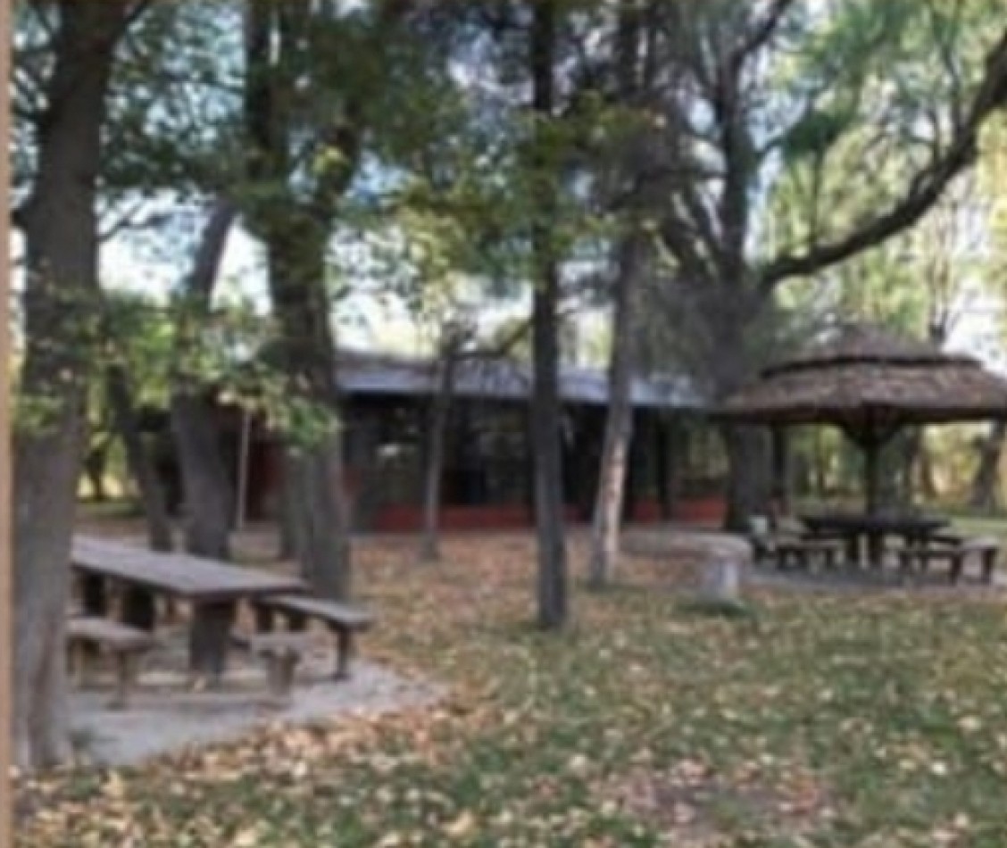 VENDO FINCA 42 has en San Rafael con Casa Patonal 4 dormitorios + Piscina + Galpones + prod de Ciruela distrito Salto de las Rosas