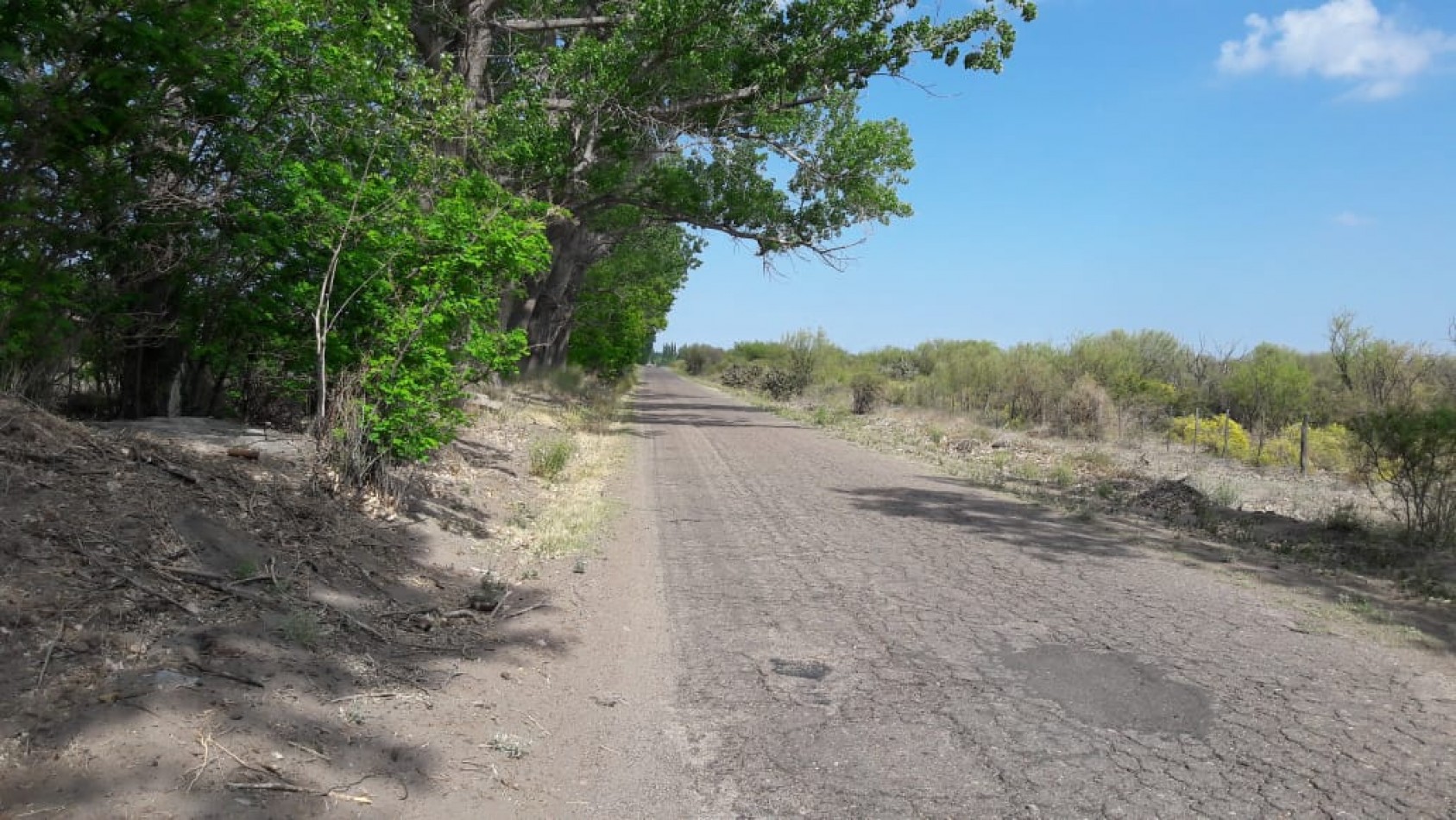 VENDO Finca de 8 hectareas en Las Aguaditas. Casa, frutales Ciruela D'agen, Durazno, Uvas. San Rafael. Mendoza.