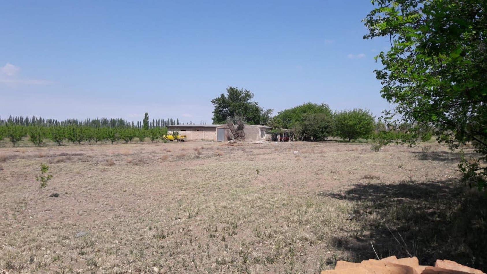 VENDO Finca de 8 hectareas en Las Aguaditas. Casa, frutales Ciruela D'agen, Durazno, Uvas. San Rafael. Mendoza.