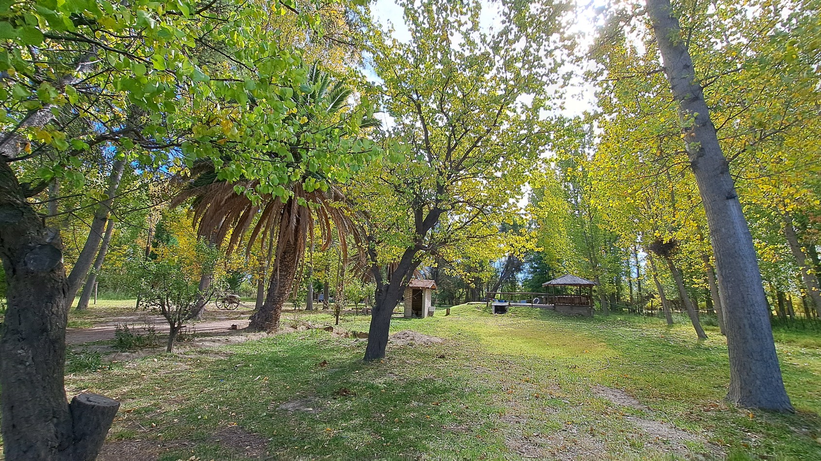 VENDO FINCA 42 has en San Rafael con Casa Patonal 4 dormitorios + Piscina + Galpones + prod de Ciruela distrito Salto de las Rosas