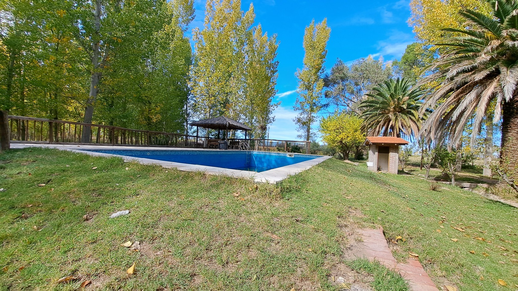VENDO FINCA 42 has en San Rafael con Casa Patonal 4 dormitorios + Piscina + Galpones + prod de Ciruela distrito Salto de las Rosas