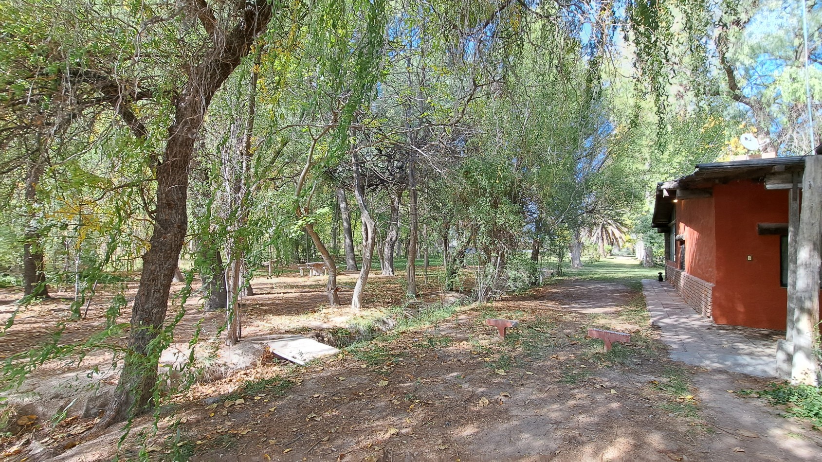VENDO FINCA 42 has en San Rafael con Casa Patonal 4 dormitorios + Piscina + Galpones + prod de Ciruela distrito Salto de las Rosas