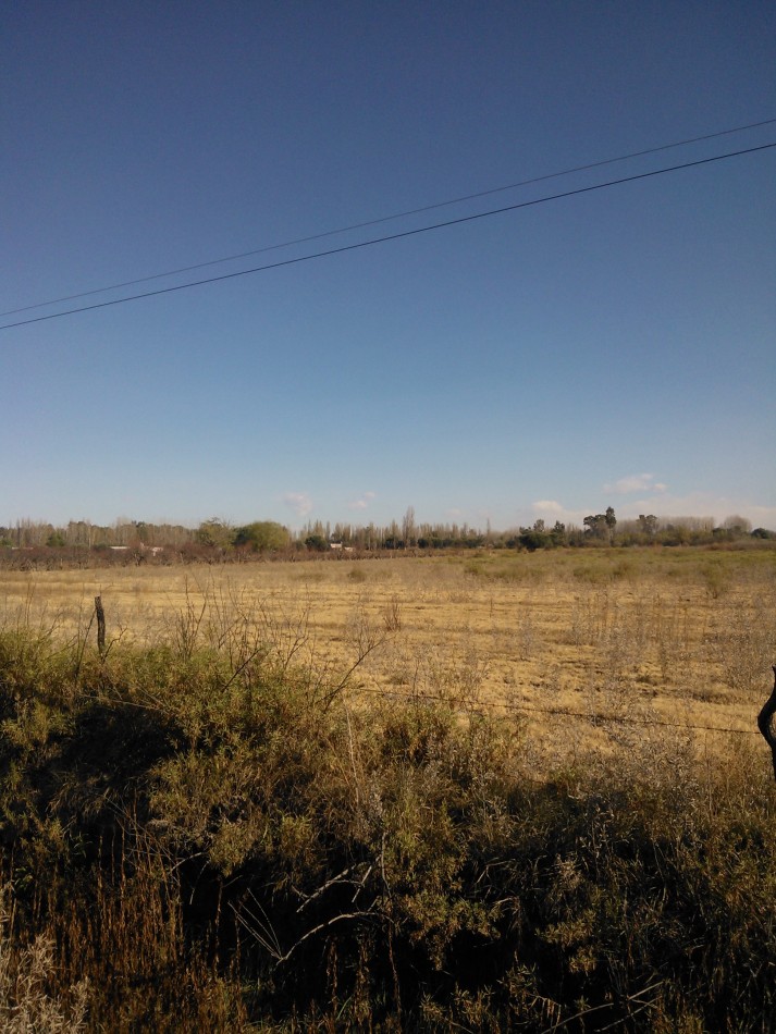 Terreno o lote 2,4 has o 24.000 m2 en la calle el TOLEDANO las Paredes. 39.000 SAN RAFAEL