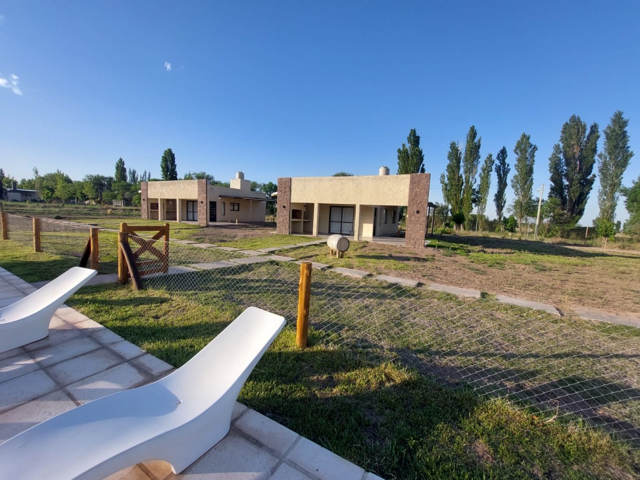 Vendo o Permuta Complejo de Cabañas 5 has con 5 cabañas y 3.5 has de parral con tela. Las Paredes, San Rafael, Mendoza