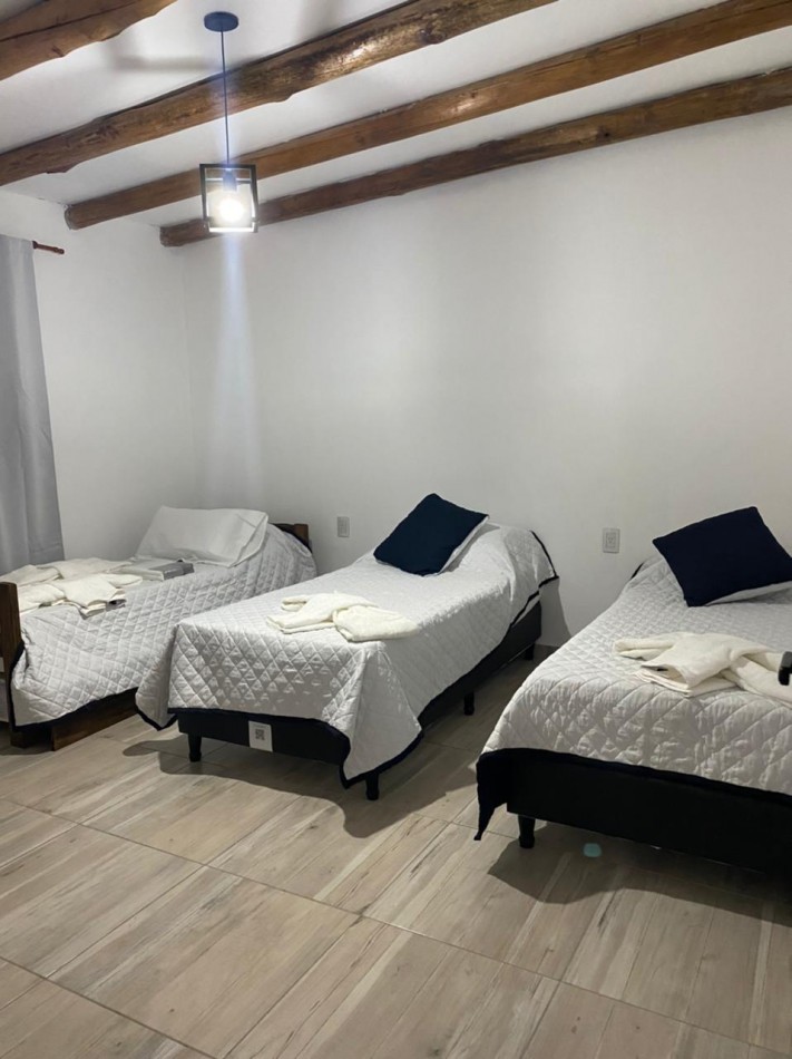 Vendo o Permuta Complejo de Cabañas 5 has con 5 cabañas y 3.5 has de parral con tela. Las Paredes, San Rafael, Mendoza