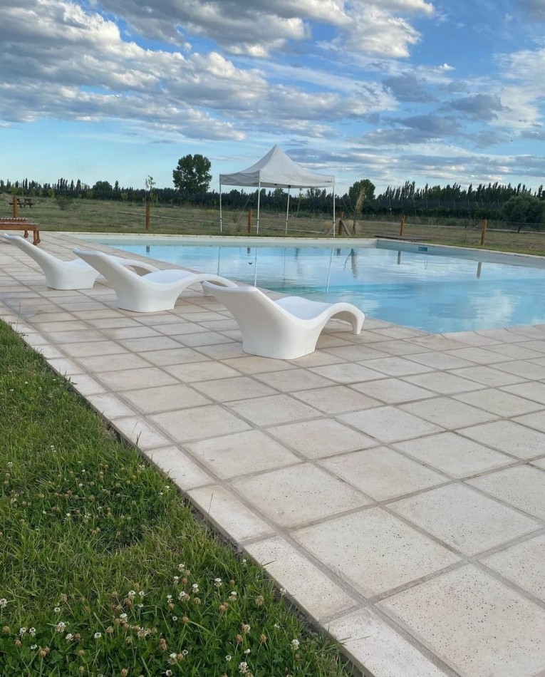 Vendo o Permuta Complejo de Cabañas 5 has con 5 cabañas y 3.5 has de parral con tela. Las Paredes, San Rafael, Mendoza