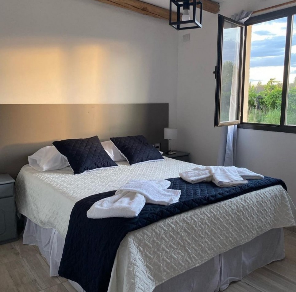 Vendo o Permuta Complejo de Cabañas 5 has con 5 cabañas y 3.5 has de parral con tela. Las Paredes, San Rafael, Mendoza