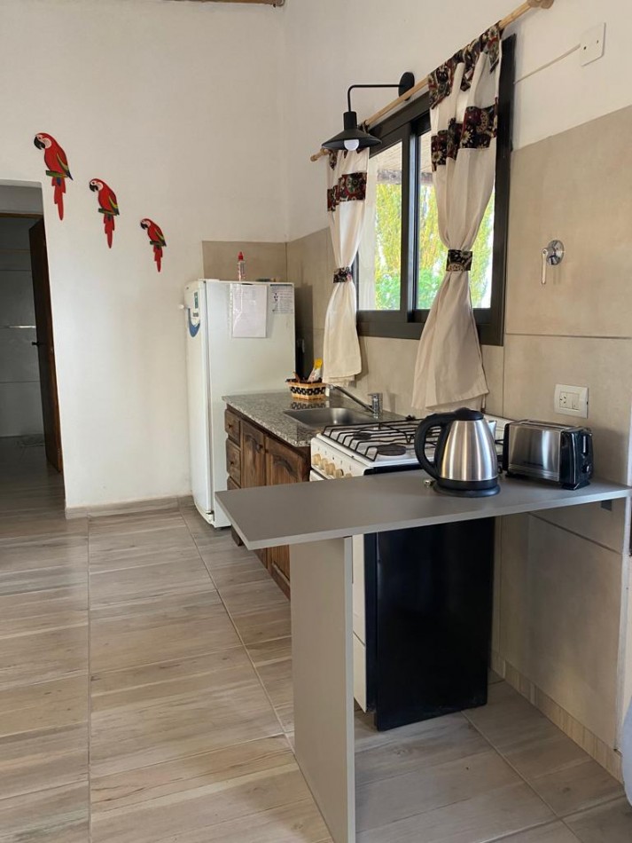 Vendo o Permuta Complejo de Cabañas 5 has con 5 cabañas y 3.5 has de parral con tela. Las Paredes, San Rafael, Mendoza