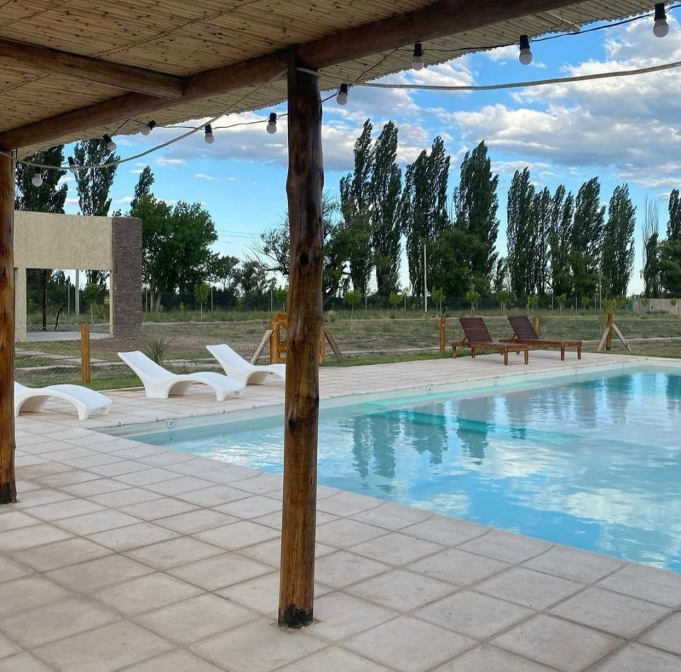 Vendo o Permuta Complejo de Cabañas 5 has con 5 cabañas y 3.5 has de parral con tela. Las Paredes, San Rafael, Mendoza
