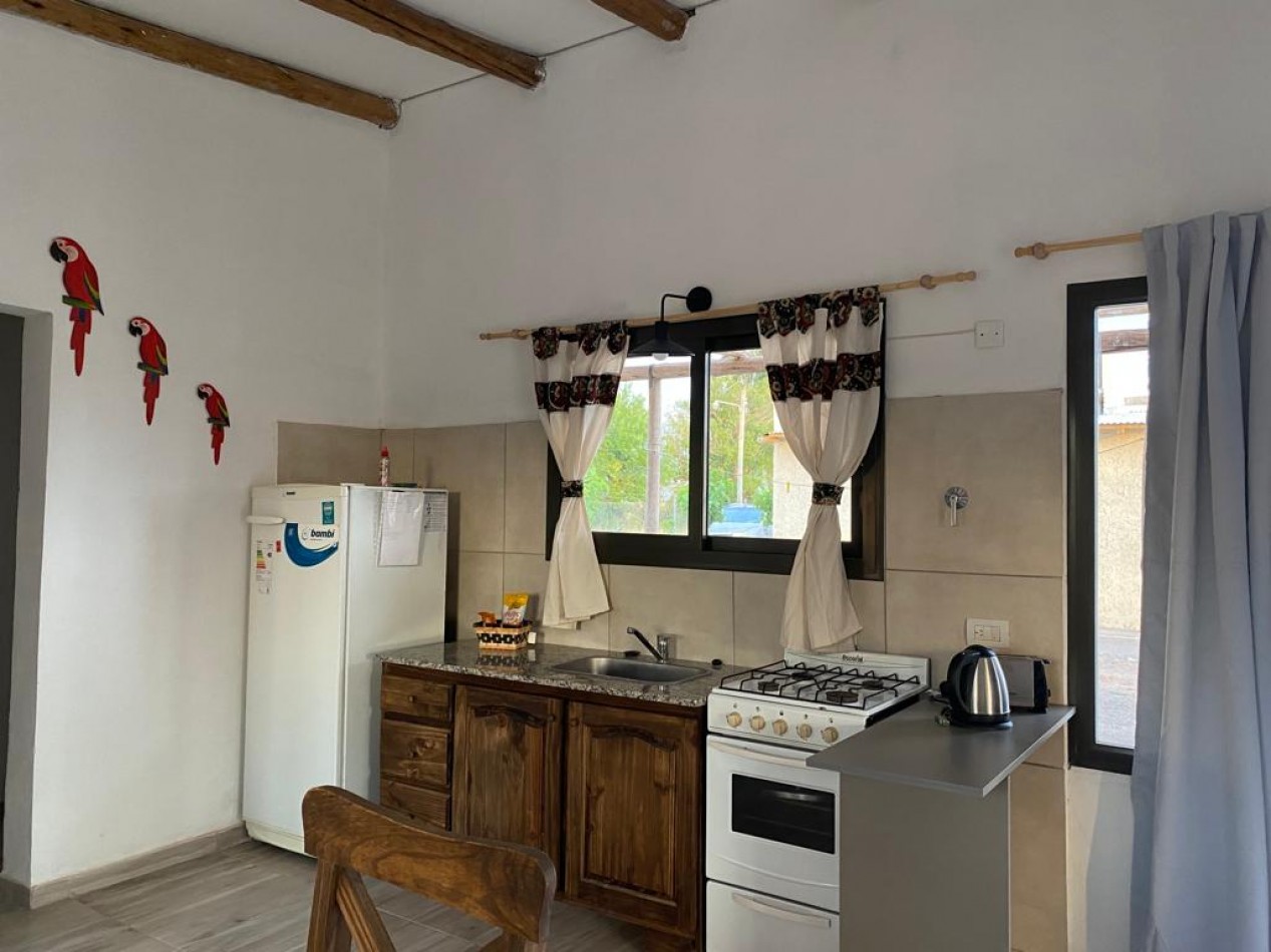 Vendo o Permuta Complejo de Cabañas 5 has con 5 cabañas y 3.5 has de parral con tela. Las Paredes, San Rafael, Mendoza