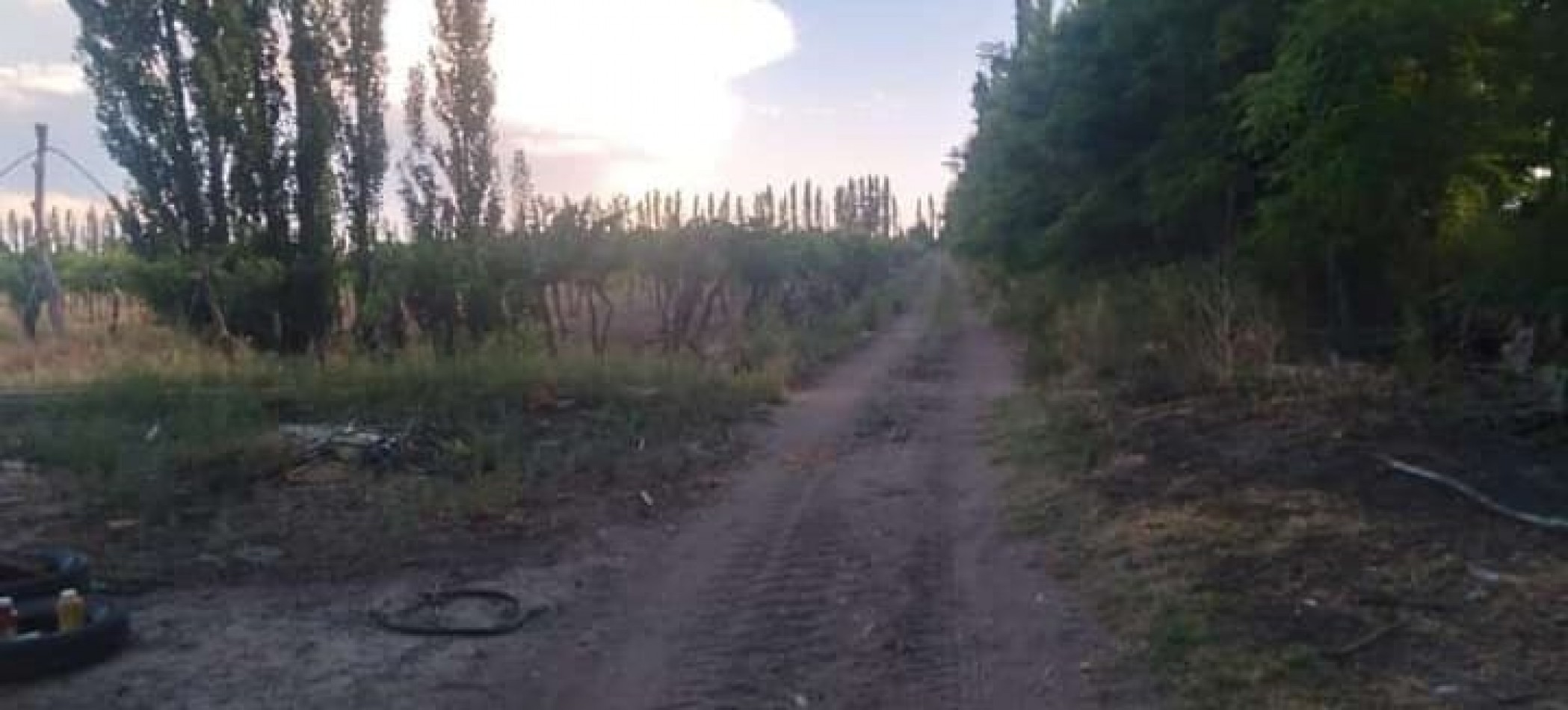 Vendo Finca 20 has Produccion UVA a 5 km de Salto de las Rosas. San Rafael. Mendoza