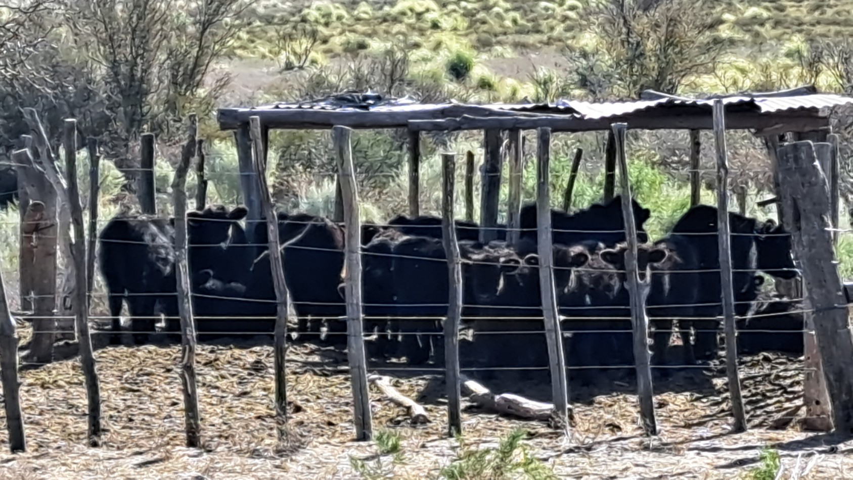 Vendo Finca de 200 has en Alto Algarrobal 18 km aprox. con Casa de San Rafael