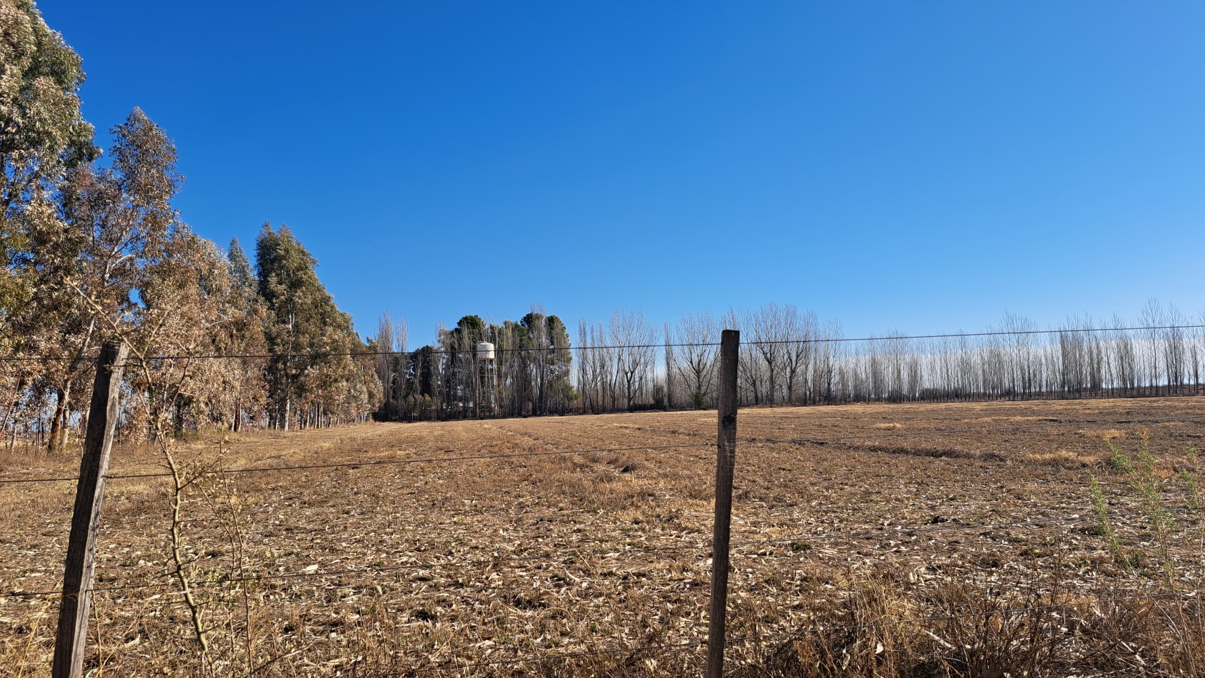 Vendo Finca de 200 has en Alto Algarrobal 18 km aprox. con Casa de San Rafael