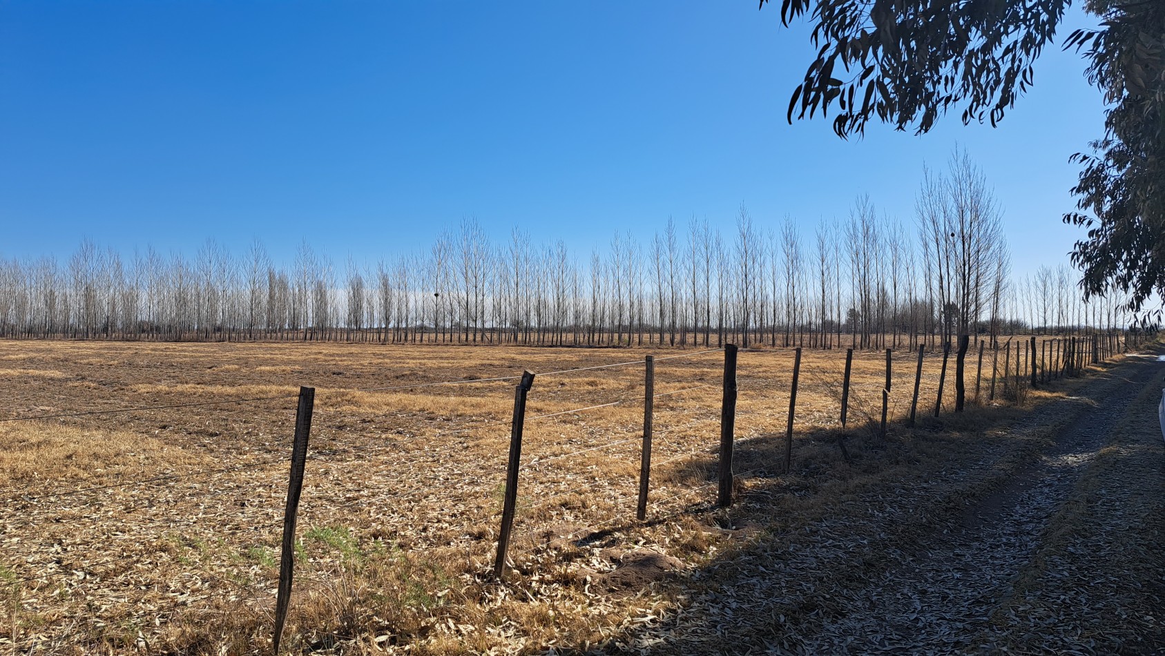 Vendo Finca de 200 has en Alto Algarrobal 18 km aprox. con Casa de San Rafael