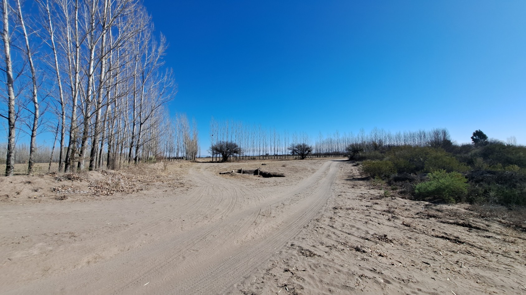 Vendo Finca de 200 has en Alto Algarrobal 18 km aprox. con Casa de San Rafael