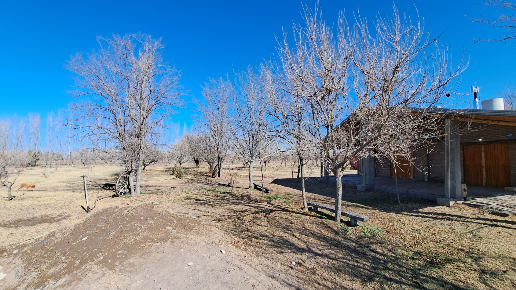 Vendo Finca de 200 has en Alto Algarrobal 18 km aprox. con Casa de San Rafael
