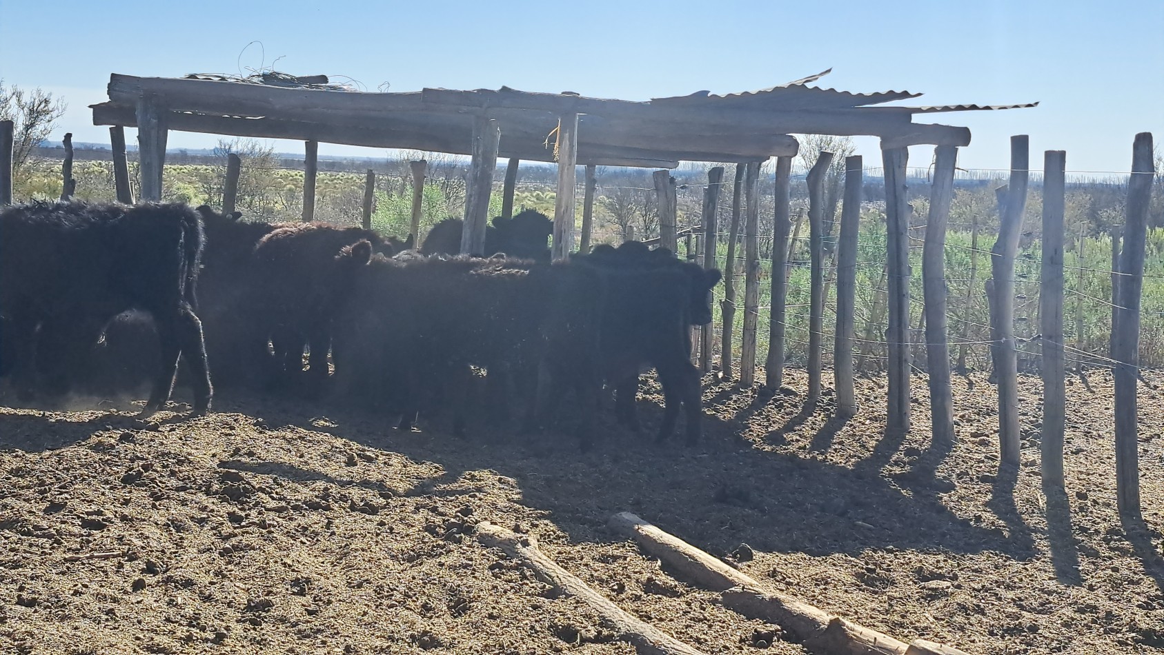 Vendo Finca de 200 has en Alto Algarrobal 18 km aprox. con Casa de San Rafael