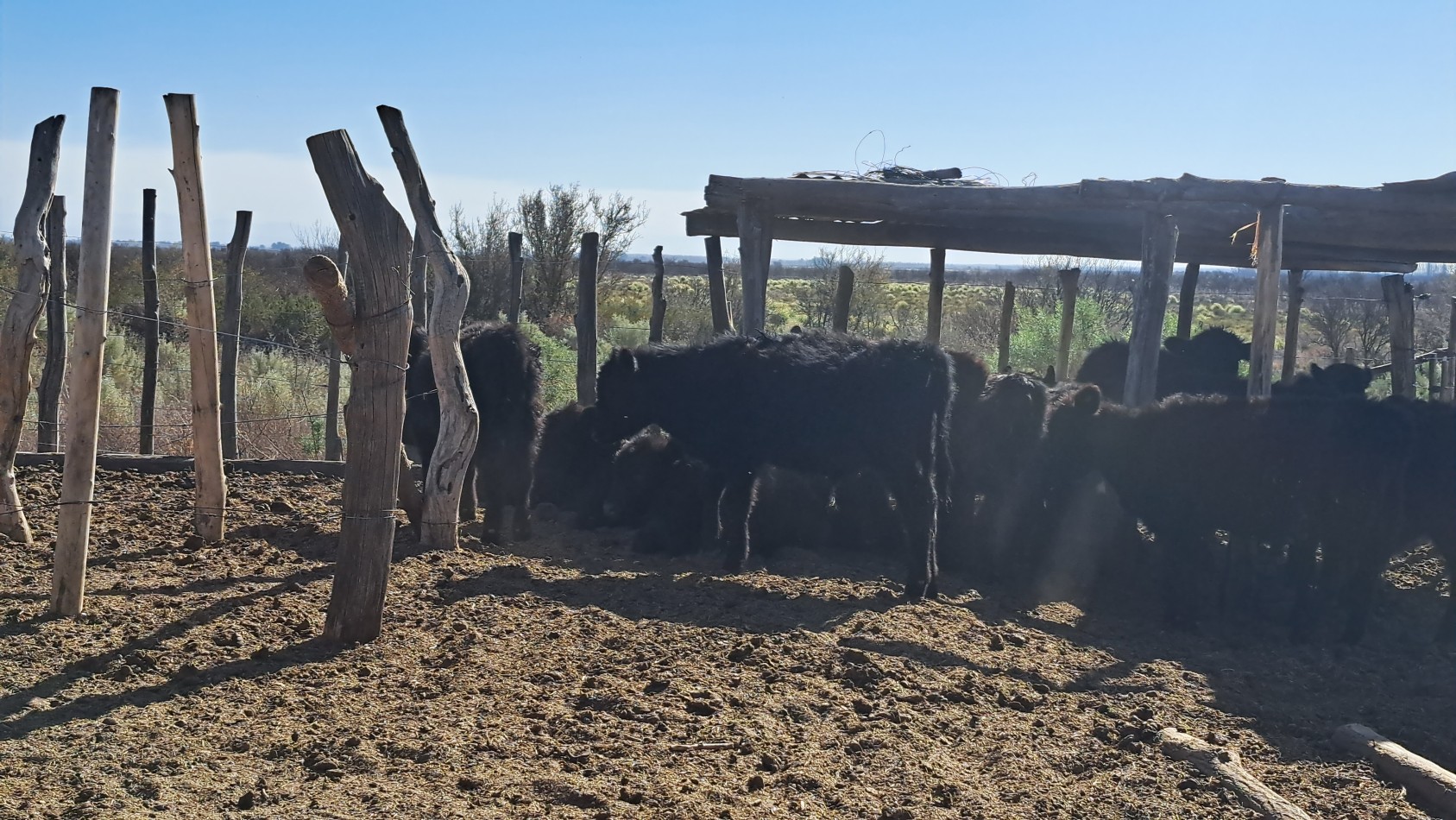 Vendo Finca de 200 has en Alto Algarrobal 18 km aprox. con Casa de San Rafael