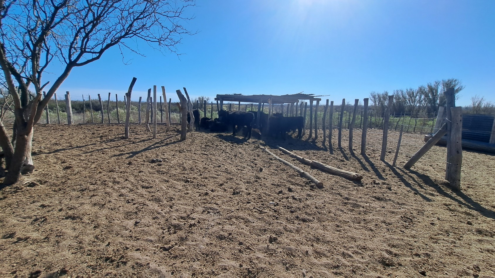 Vendo Finca de 200 has en Alto Algarrobal 18 km aprox. con Casa de San Rafael