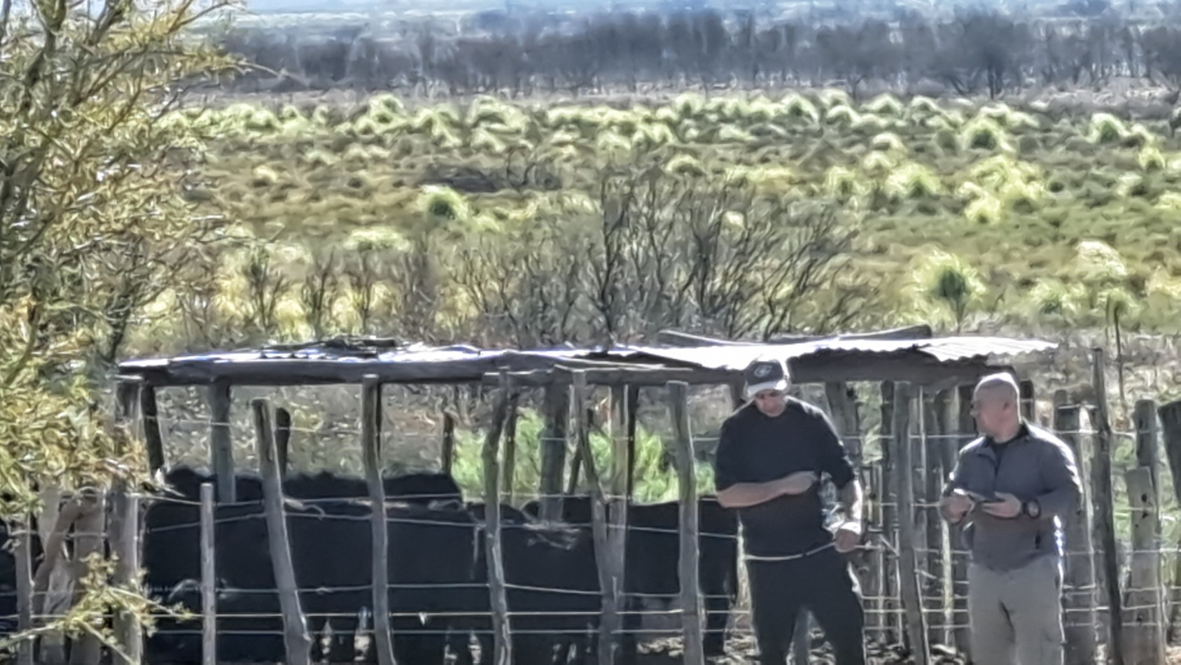 Vendo Finca de 200 has en Alto Algarrobal 18 km aprox. con Casa de San Rafael