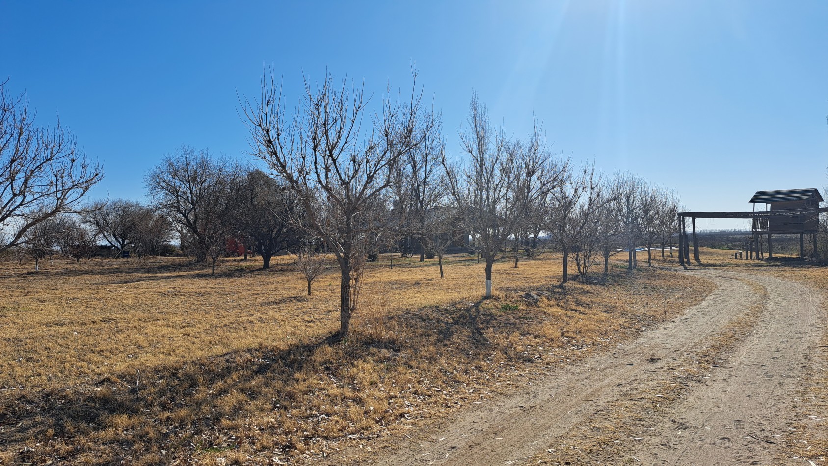 Vendo Finca de 200 has en Alto Algarrobal 18 km aprox. con Casa de San Rafael