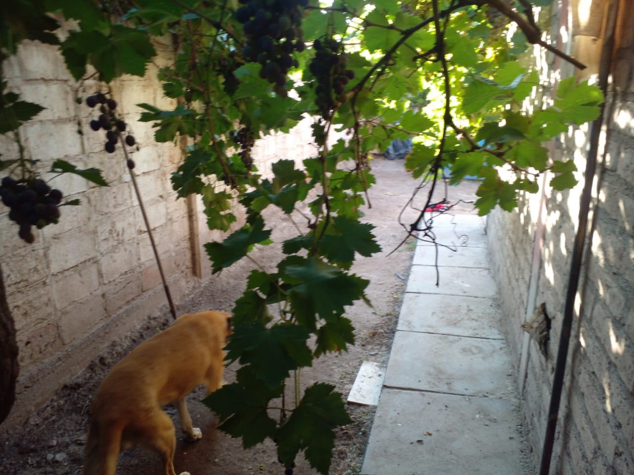 Vendo casa en oferta 3 dormitorios zona Av. Mitre San Rafael