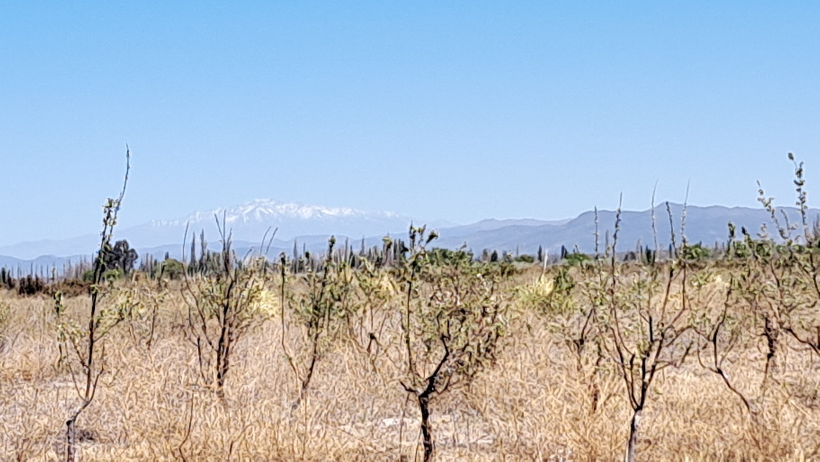 Vendo finca 4 has. zona 4 km Salto de las Rosa. Cuenta con casa 2 dorm. a terminar. Con Luz y Agua 2024San Rafael.