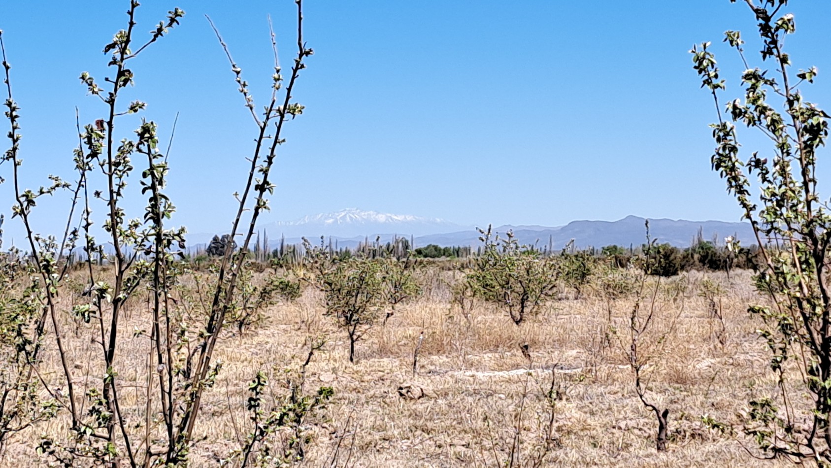 Vendo finca 4 has. zona 4 km Salto de las Rosa. Cuenta con casa 2 dorm. a terminar. Con Luz y Agua 2024San Rafael.