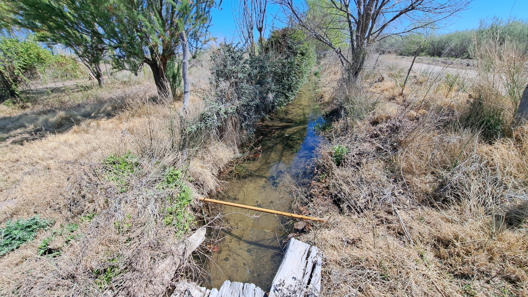 Vendo finca 4 has. zona 4 km Salto de las Rosa. Cuenta con casa 2 dorm. a terminar. Con Luz y Agua 2024San Rafael.