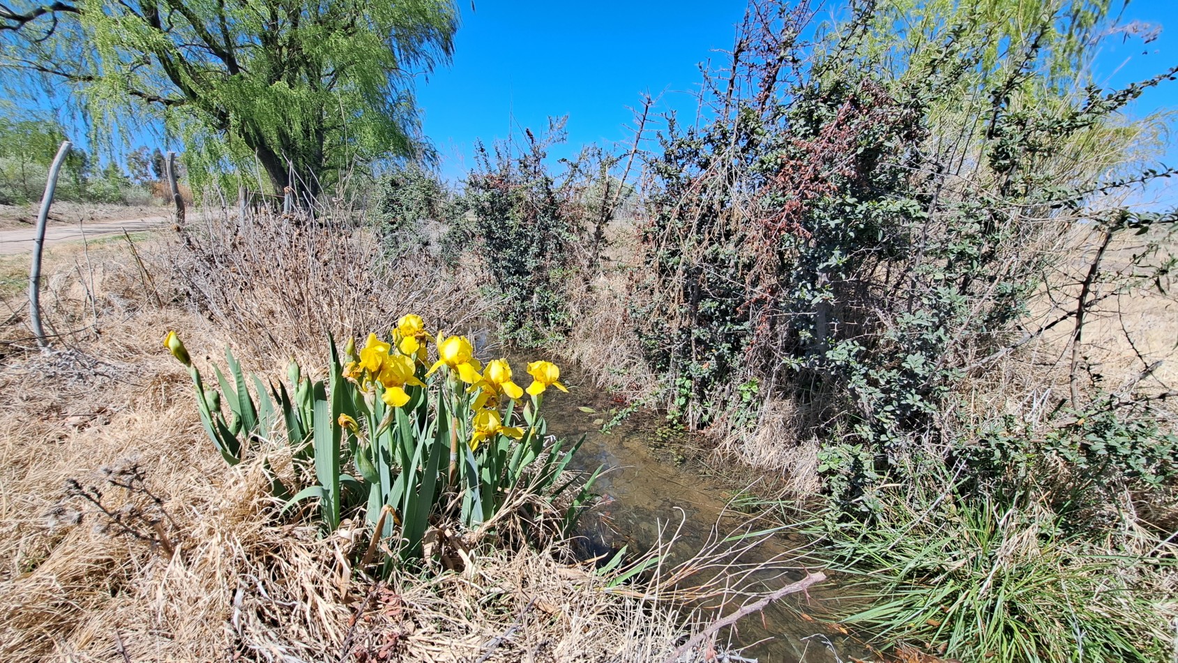 Vendo finca 4 has. zona 4 km Salto de las Rosa. Cuenta con casa 2 dorm. a terminar. Con Luz y Agua 2024San Rafael.