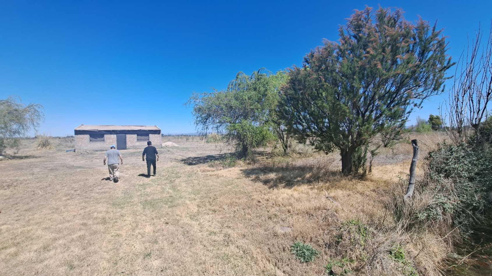 Vendo finca 4 has. zona 4 km Salto de las Rosa. Cuenta con casa 2 dorm. a terminar. Con Luz y Agua 2024San Rafael.
