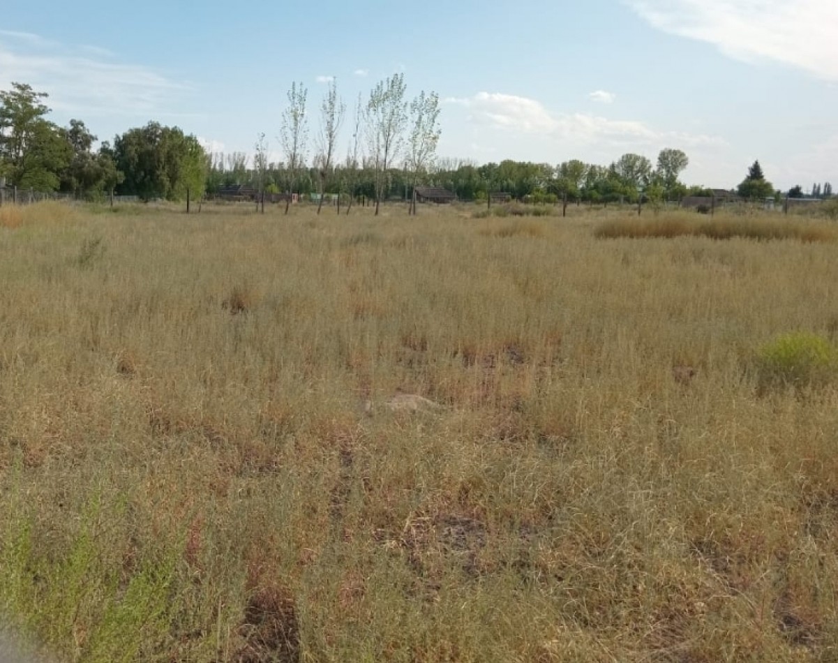 Vendo Lote con cierre en zona del aeropuerto. Ideal cabañas u casa fin de semana. San Rafael