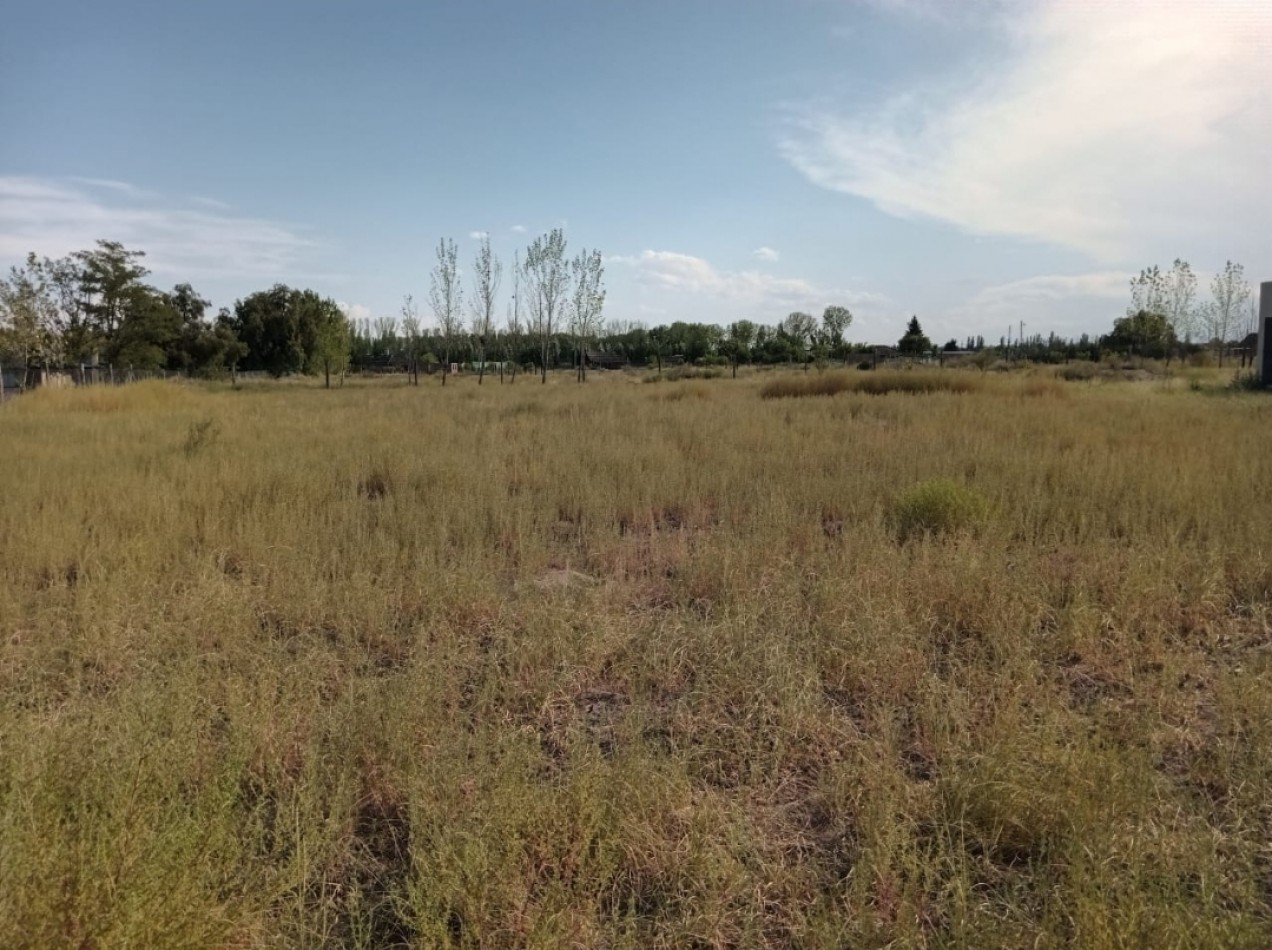 Vendo Lote con cierre en zona del aeropuerto. Ideal cabañas u casa fin de semana. San Rafael