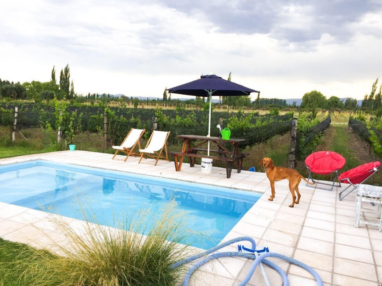 Oferta Vendo Casa Quinta amplia con 3200 m2 . Cuadro Benegas. San Rafael
