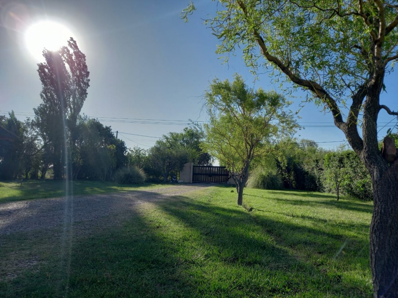 ✅Complejo de 4 cabañas y casa principal. Pileta, parque con arboles y plantas de mas de 10 años.. Cuenta con 3250 m². Las Paredes. San Rafael