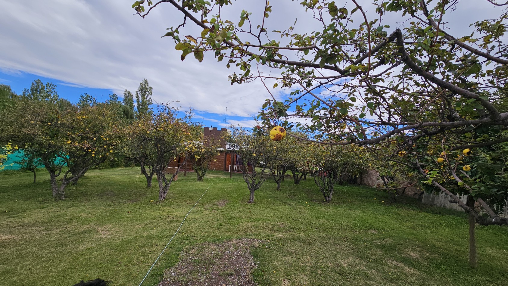 Vendo complejo trabajando de Casa + 3 cabañas en 2.48 hectareas. Rama Caida. San Rafael