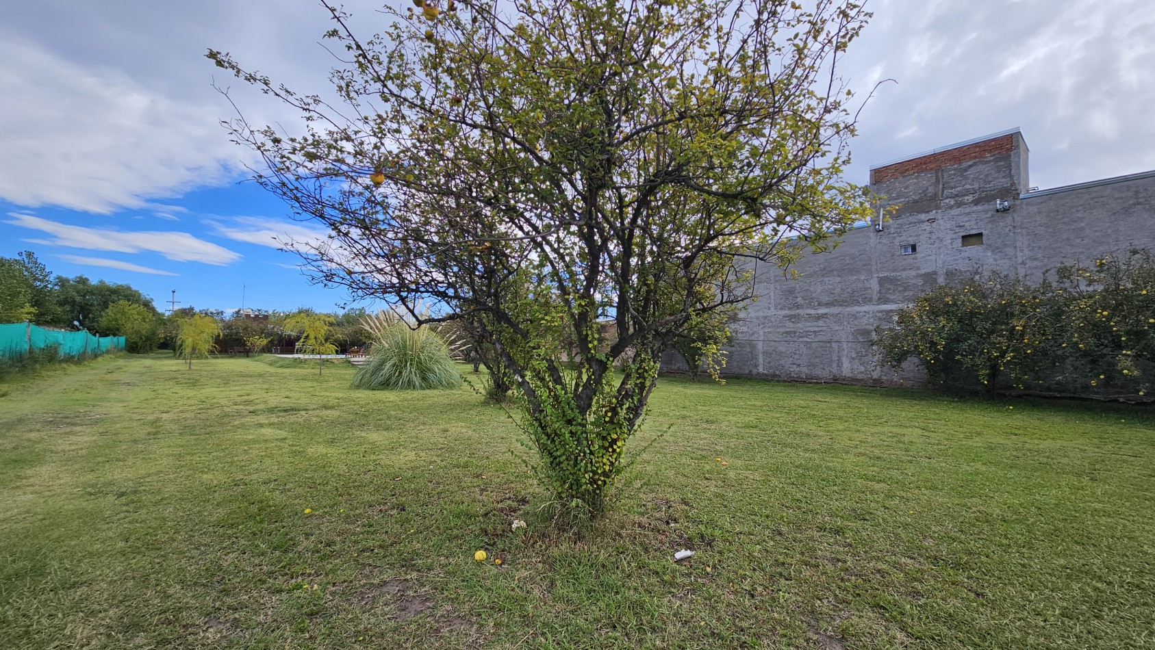 Vendo complejo trabajando de Casa + 3 cabañas en 2.48 hectareas. Rama Caida. San Rafael