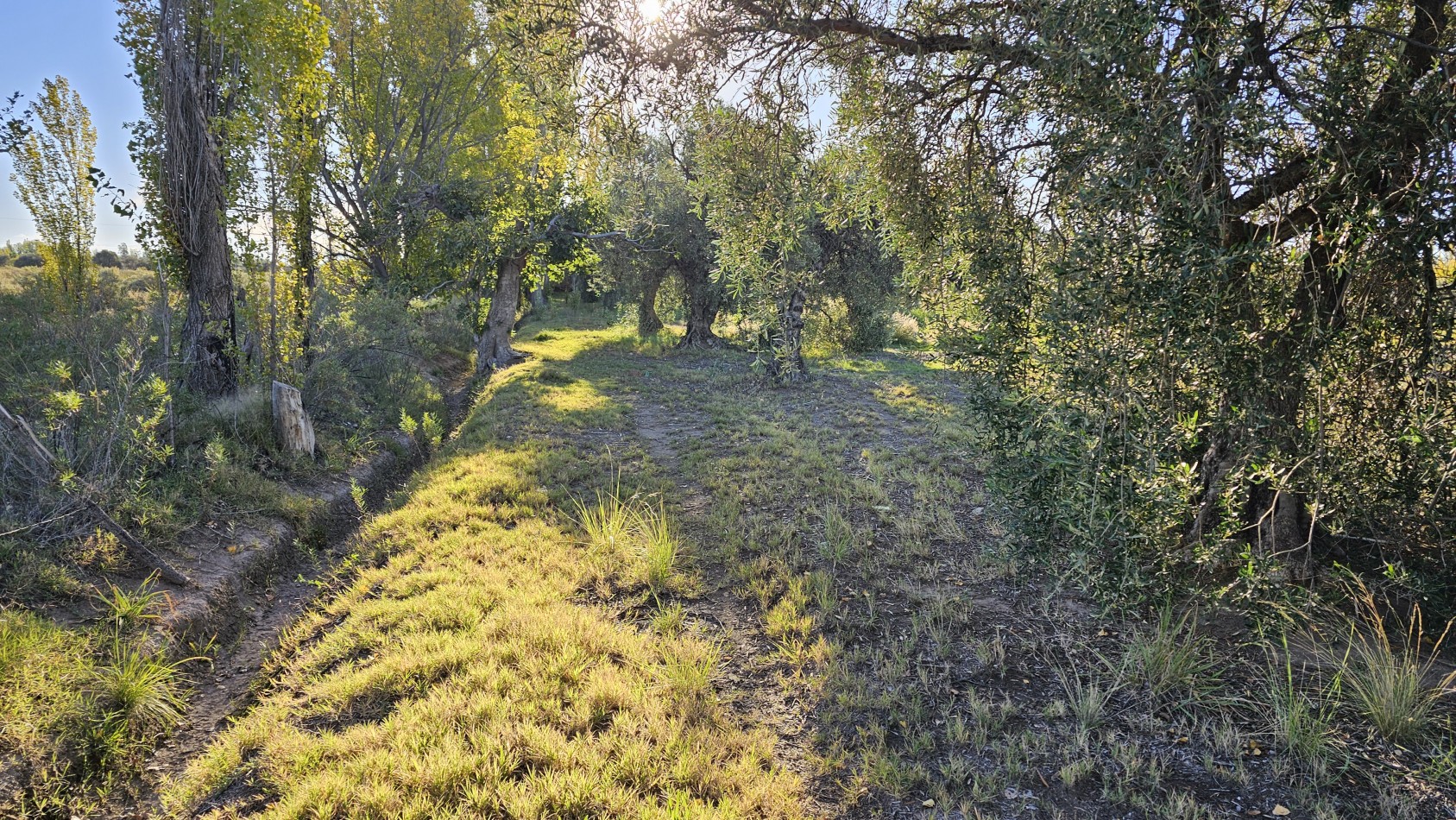 Gran terreno o lote de 2 has en San Rafael ideal emprendimiento