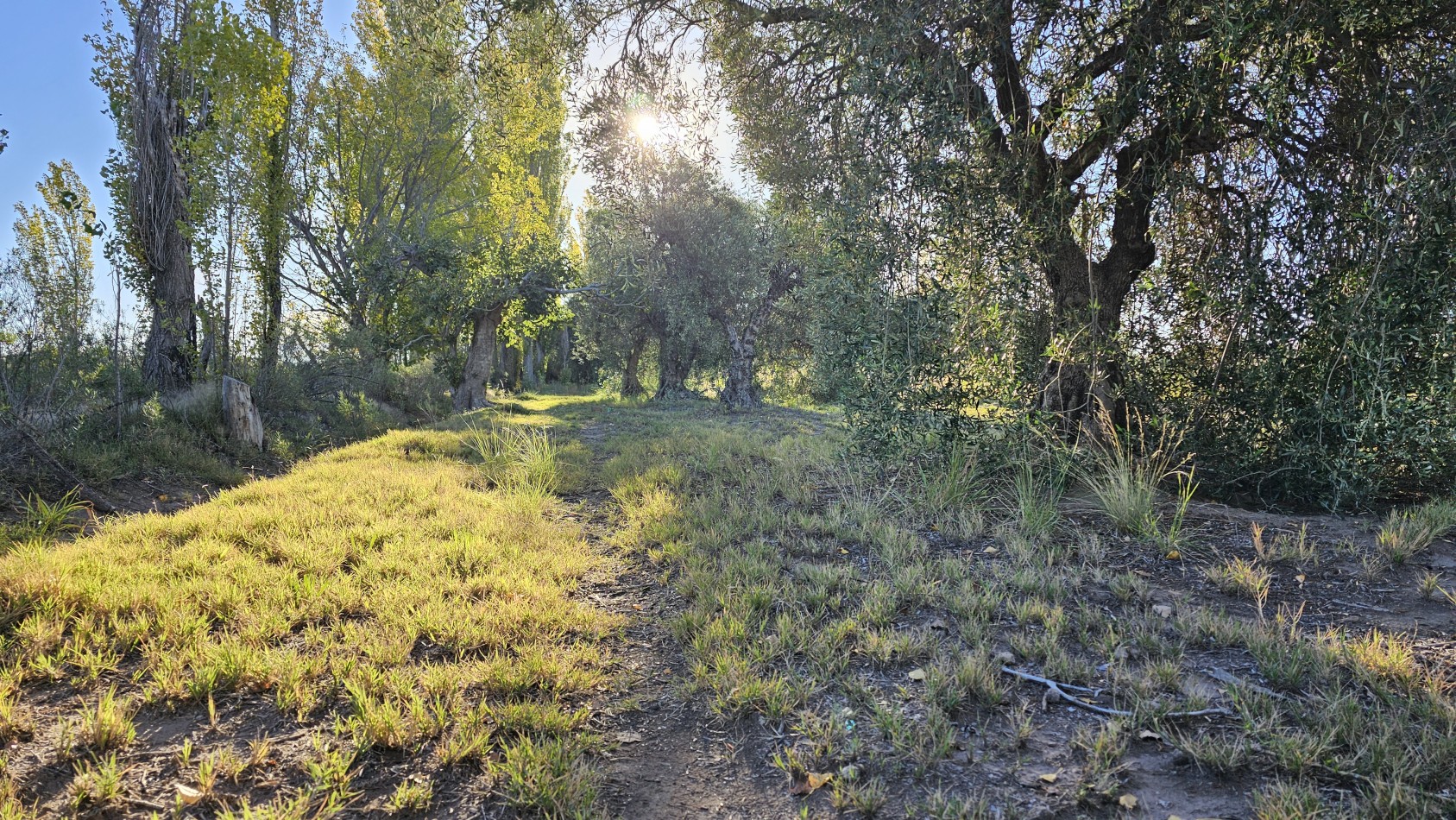 Gran terreno o lote de 2 has en San Rafael ideal emprendimiento