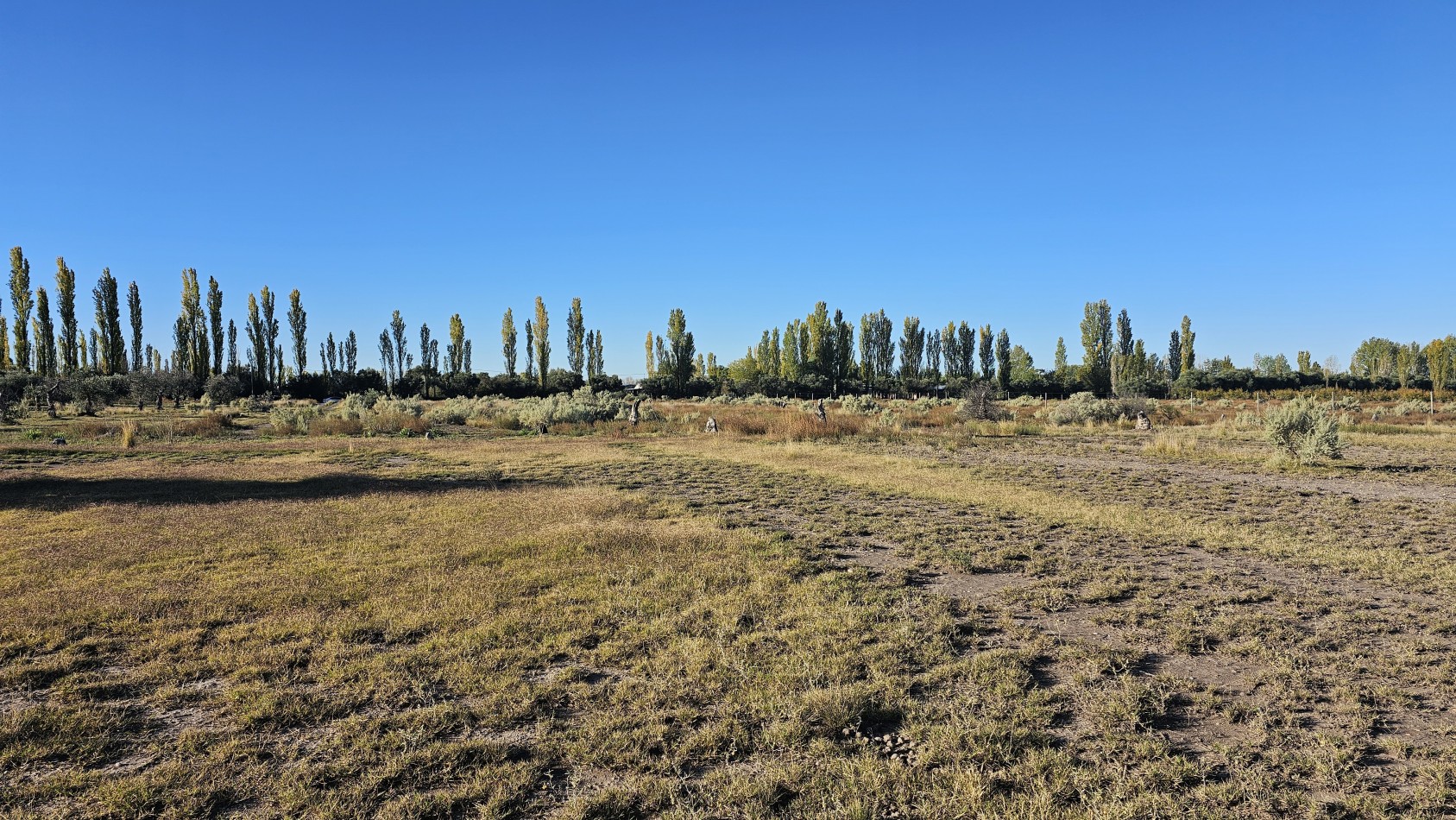 Gran terreno o lote de 2 has en San Rafael ideal emprendimiento