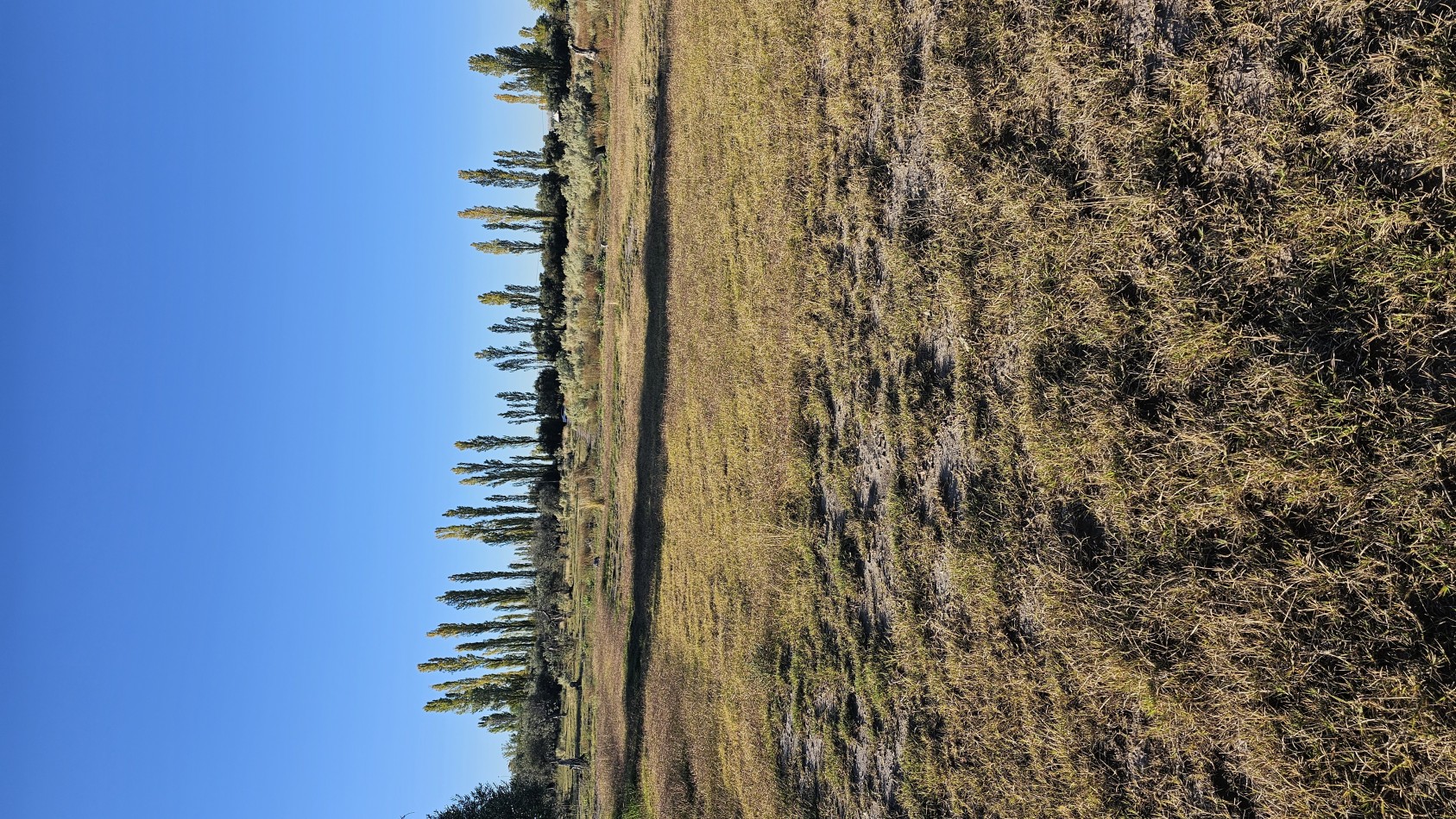 Gran terreno o lote de 2 has en San Rafael ideal emprendimiento