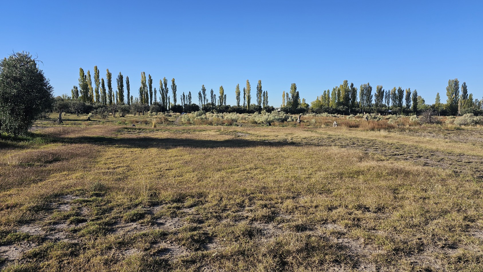 Gran terreno o lote de 2 has en San Rafael ideal emprendimiento