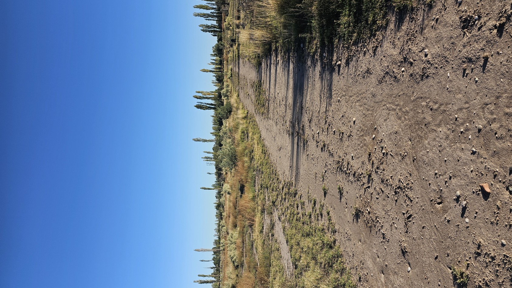 Gran terreno o lote de 2 has en San Rafael ideal emprendimiento