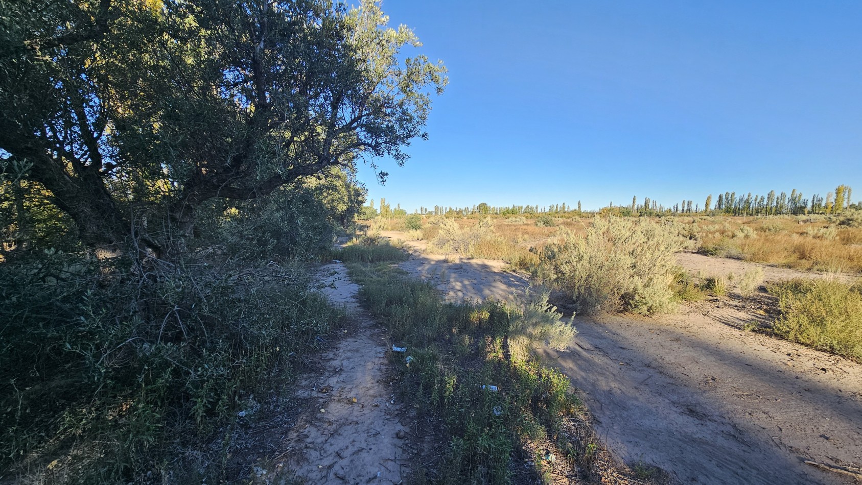 Gran terreno o lote de 2 has en San Rafael ideal emprendimiento