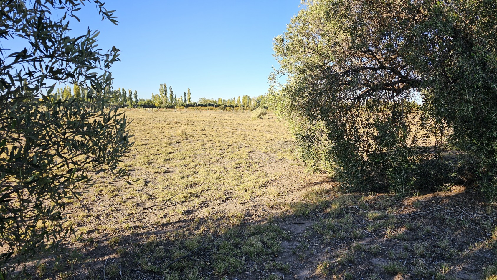Gran terreno o lote de 2 has en San Rafael ideal emprendimiento