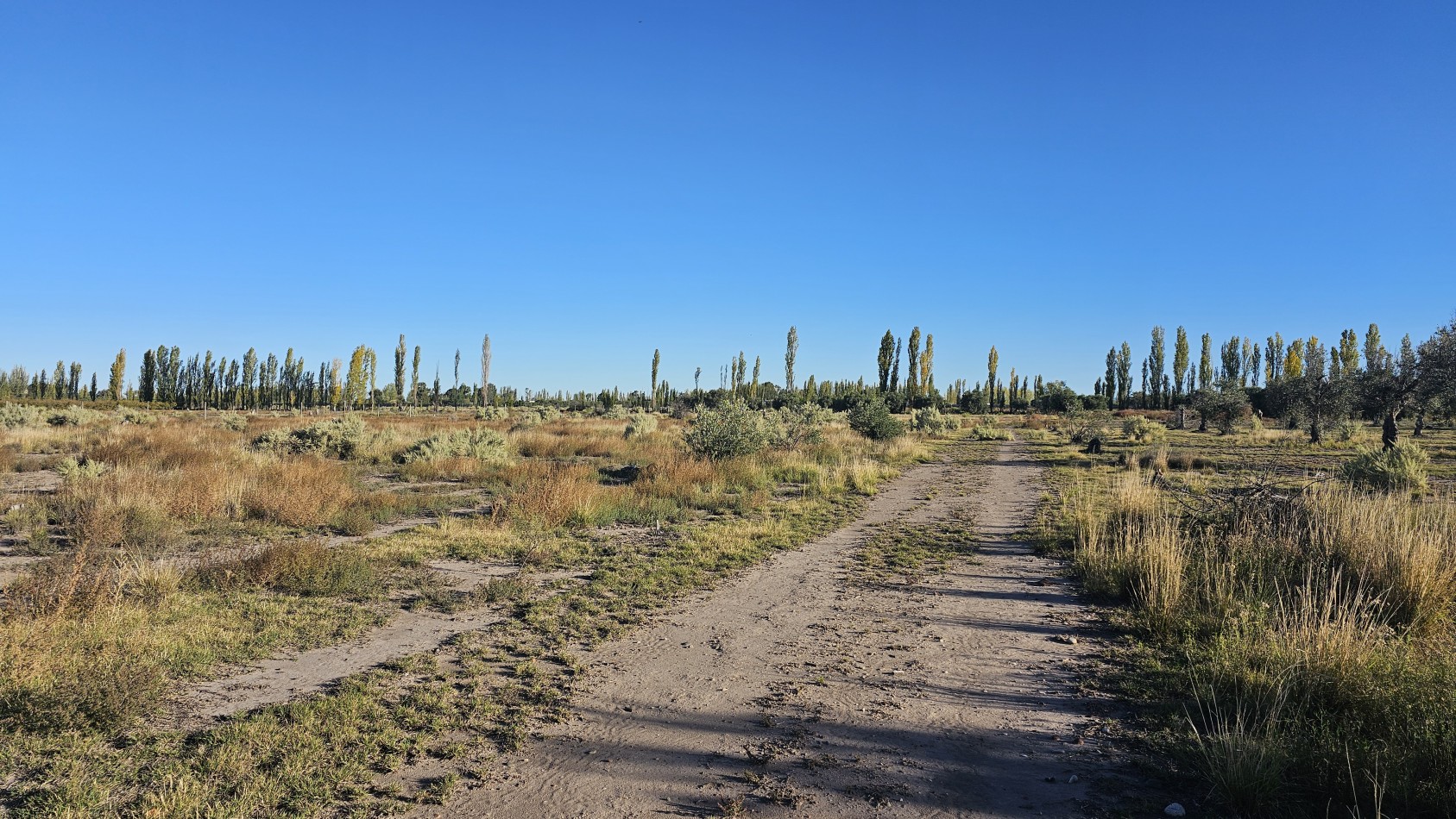 Gran terreno o lote de 2 has en San Rafael ideal emprendimiento