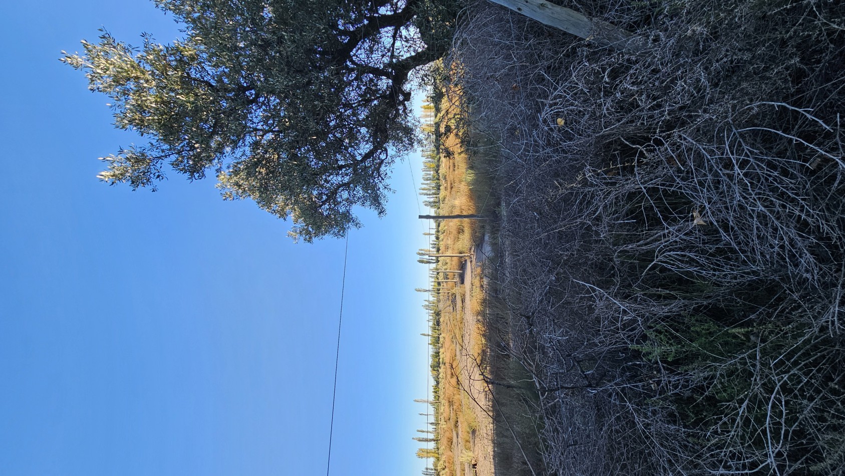 Gran terreno o lote de 2 has en San Rafael ideal emprendimiento