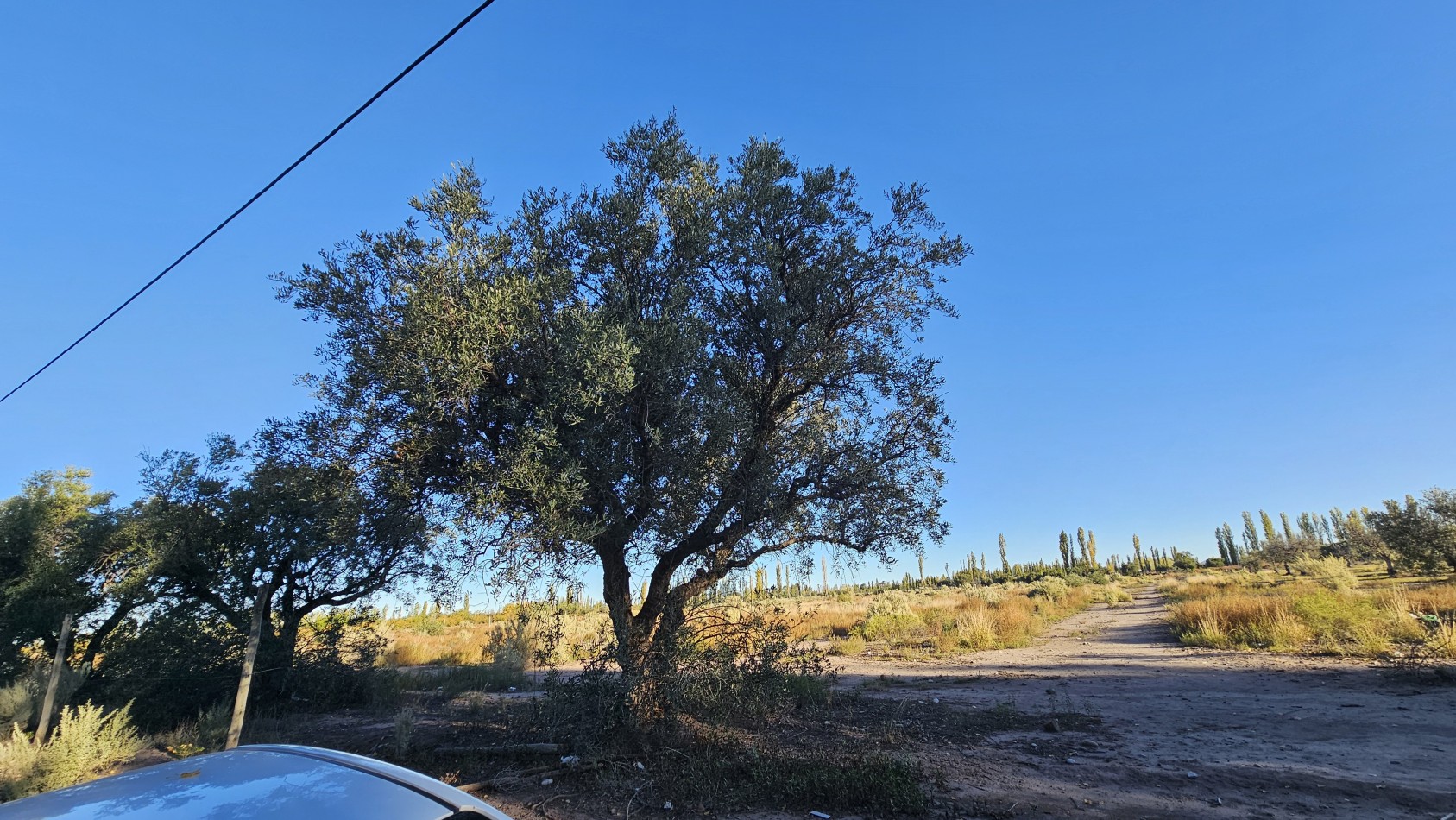 Gran terreno o lote de 2 has en San Rafael ideal emprendimiento